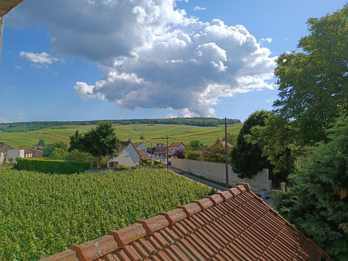 Gite Independant Diz'Enreves Au Coeur Des Vignes Дизи Экстерьер фото